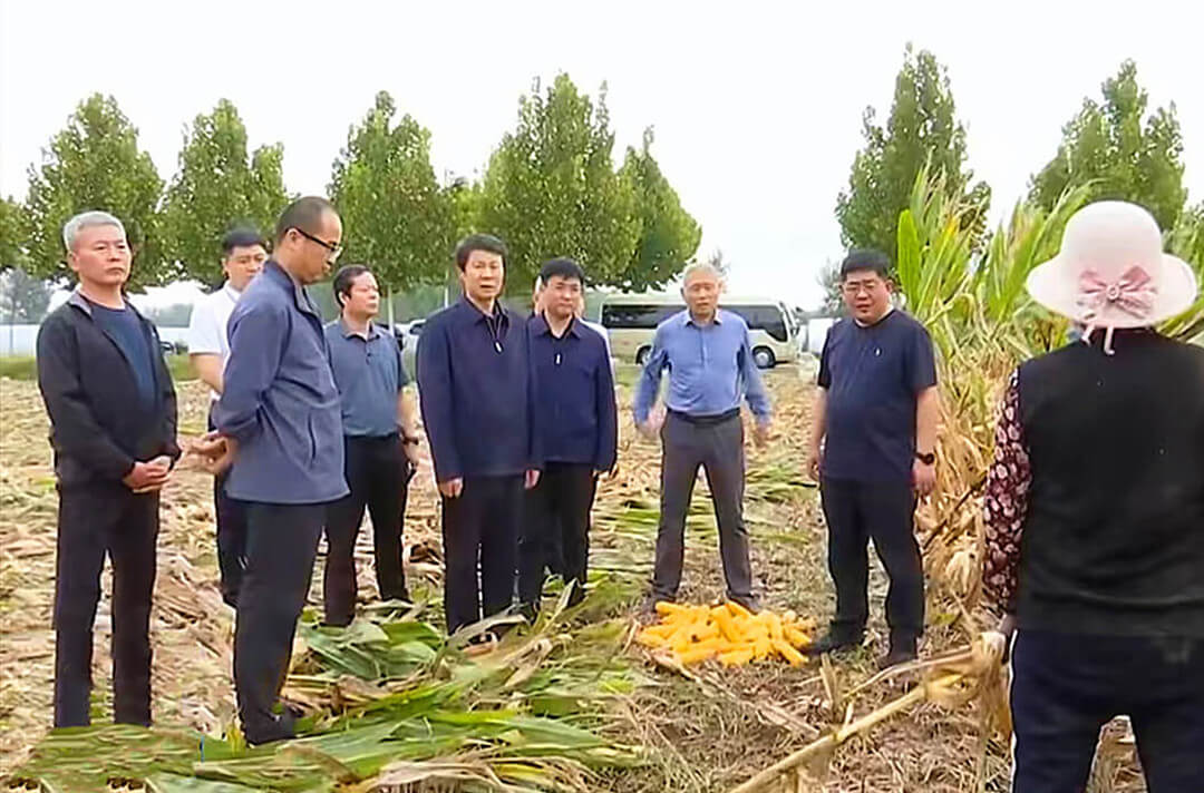 张宝亮到郯城县调研农业“三秋”生产工作
